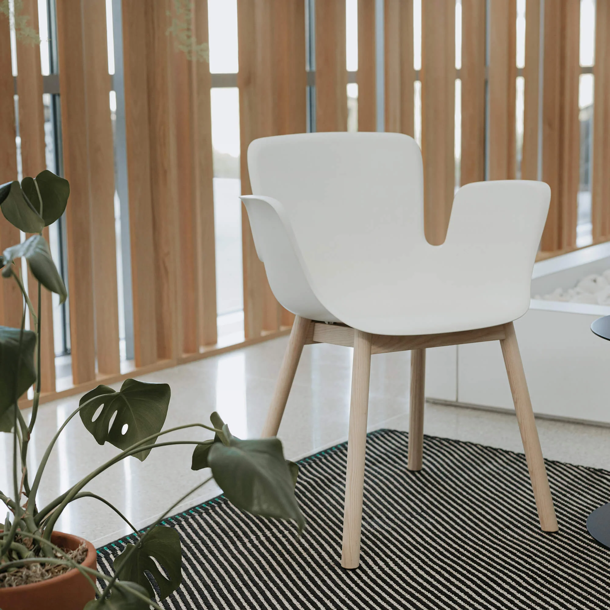 Juli Plastic - Wood Base - Image 4